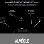 ALVÉOLE